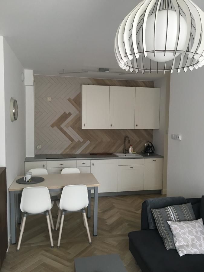 Апартаменты Apartament Śnieżny Карпач