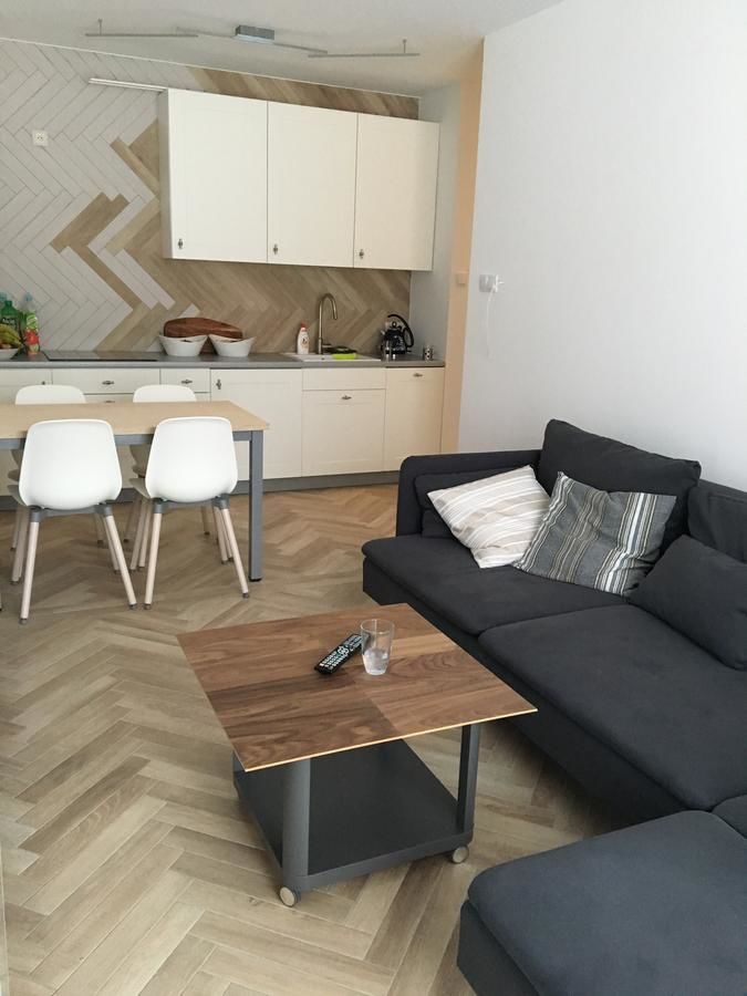 Апартаменты Apartament Śnieżny Карпач