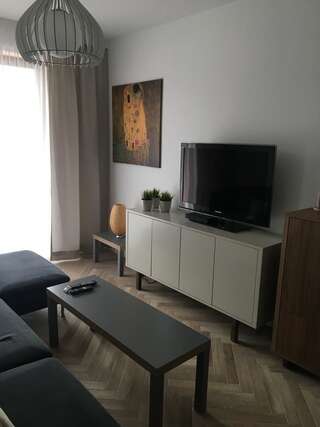 Апартаменты Apartament Śnieżny Карпач Апартаменты Делюкс-1