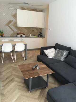 Апартаменты Apartament Śnieżny Карпач Апартаменты Делюкс-83