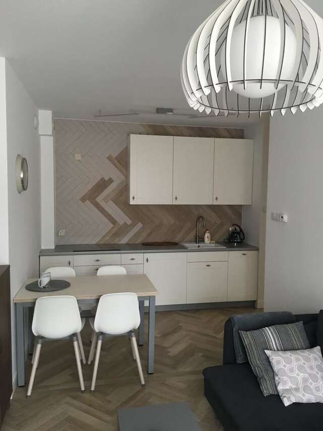 Апартаменты Apartament Śnieżny Карпач-17