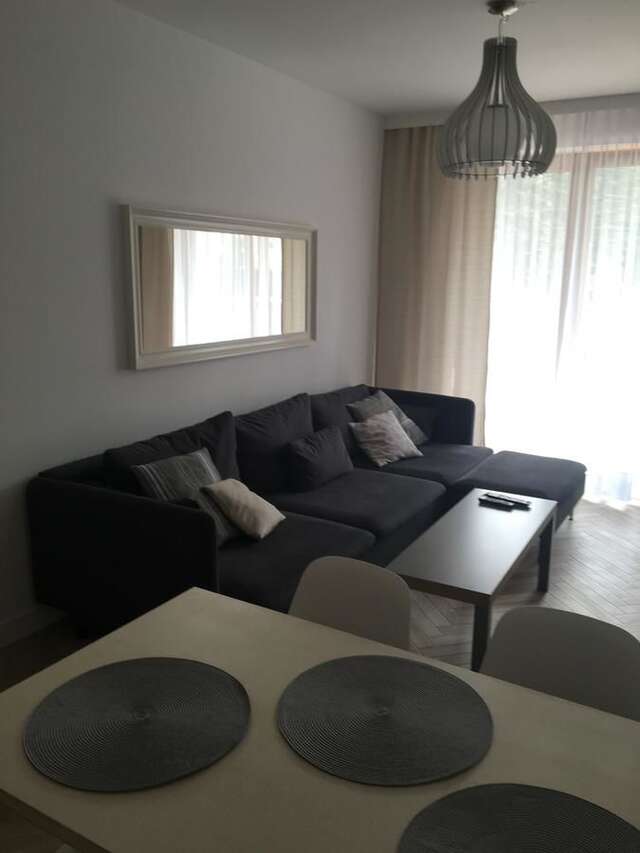 Апартаменты Apartament Śnieżny Карпач-9